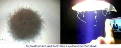 Метастазы Мексиканского залива. Часть 9-1 Метастазы Мексиканского залива. Часть 9-1