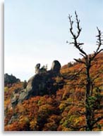 Мегалиты города Драконов. Бегемот или лось