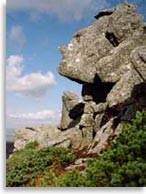 Мегалиты города Драконов