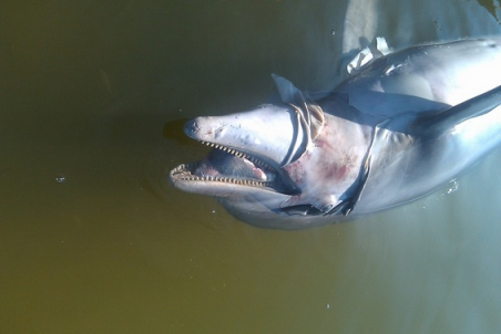 image115.png