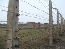http://endthelie.com/wp-content/uploads/2012/04/birkenau-fence-300x225.jpg
