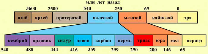 Упрощенный вид геохронологической шкалы