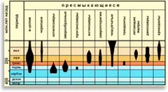 Количество видов пресмыкающихся