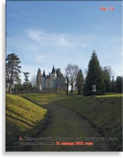 Секвойя – Sequoia Sempervirens