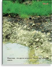 Наша почва – известняк