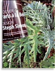 Артишок (Artichoke – Cynara scolymus. Asteraceae)