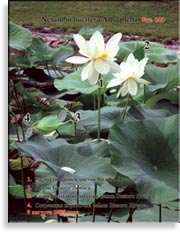 Белый Лотос – Nelumbo nucifera «alba»