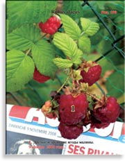 Красная малина – Rubus daeus