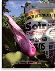 Magnolia «Iolannthe»