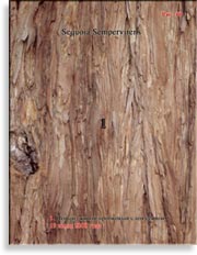 Секвойя – Sequoia Sempervirens