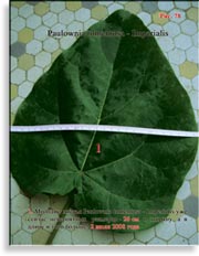 Paulownia tomentosa — Imperialis