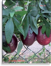 Плоды Passiflora Sayonara