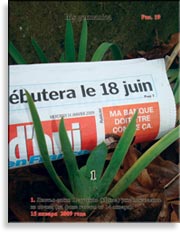 Ирис или Петушки Iris germanica