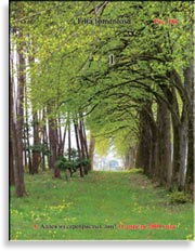 Липа серебристая – Tilia tomentosa