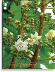 Каштан – Castanea verca Gaerth.