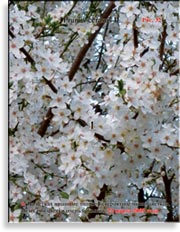 Вишня обыкновенная – Prunus cerasus L.