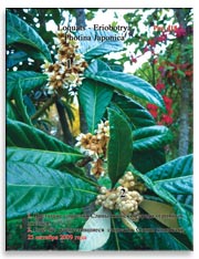 Слива японская (Photina Japonica)