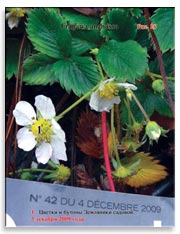 Земляника садовая (клубника), Fragaria ananassa