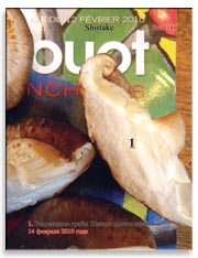 Грибы Шитаке (Shiitake)