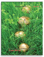 Белые грибы (Boletus edulis)
