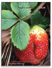 Земляника садовая (клубника), Fragaria ananassa