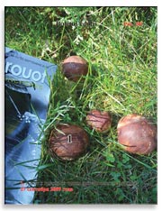Белые грибы (Boletus edulis)