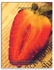 Земляника садовая (клубника), Fragaria ananassa