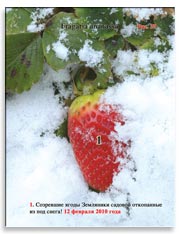 Земляника садовая (клубника), Fragaria ananassa