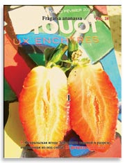Земляника садовая (клубника), Fragaria ananassa