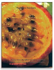 Passiflora Sayonara