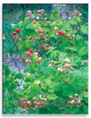 Малина жёлтая (Rubus ellipticus) и Малина красная (Rubus daeus)