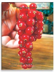 Смородина красная (Ribes vulgare Lam.)