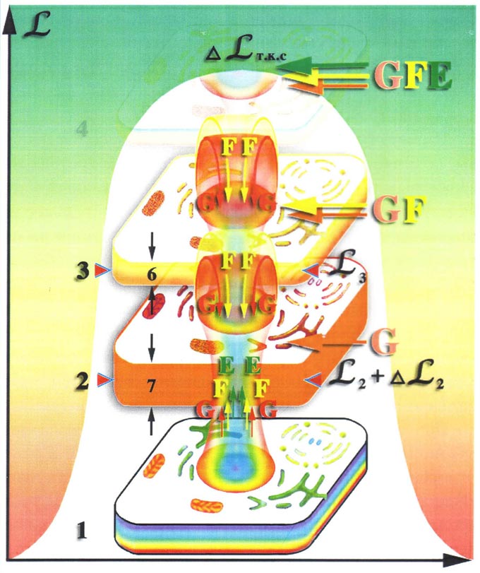 после рождения ребёнка, начинается как его физическое, так и интелектуальное развитие