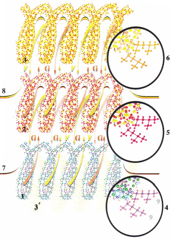 Электронные оболочки молекул, атомов, ионов имеют возможность сомкнуться между собой и создать новое химическое соединение только в случае, когда они имеют соизмеримые между собой уровни собственной мерности, другими словами, их электронные оболочки лежат на одном уровне