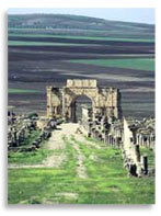 Волюбилис (Volubilis), триумфальная арка, Морокко