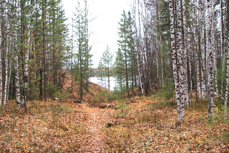 Воронка-озеро от взрыва 3-х ядерных зарядов в 1971 году