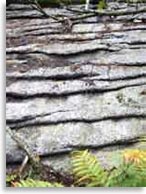 Мегалитическая стена на горе Шаман, с. Нижнетамбовское, на Амуре