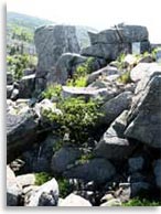 Мегалиты на горе Пидан, Шкотовский район, Приморье