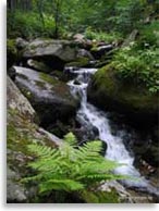 Мегалиты на горе Пидан, Шкотовский район, Приморье