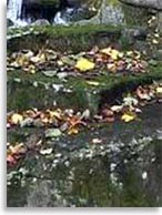 Мегалиты на горе Пидан, Шкотовский район, Приморье