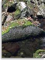 Мегалиты на горе Пидан, Шкотовский район, Приморье