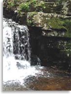 Мегалиты на горе Пидан, Шкотовский район, Приморье