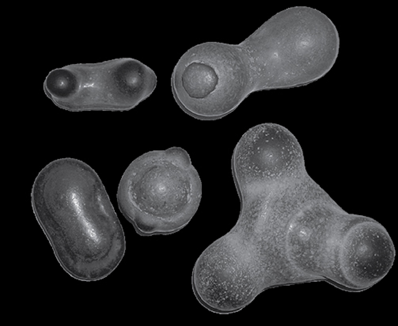 Неизвестный древний артефакт из Приморья